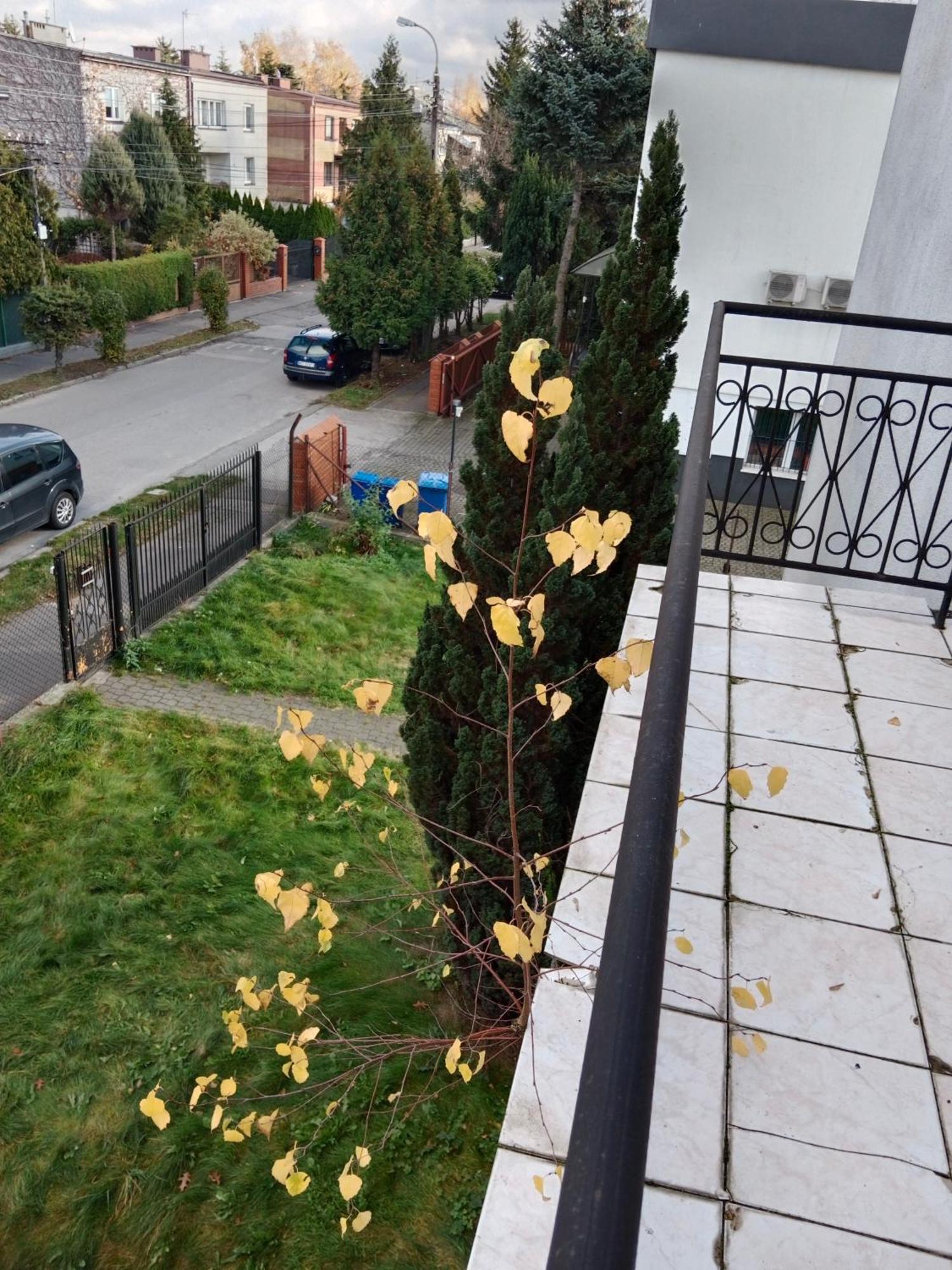 La Madriguera Bed & Breakfast Raszyn Exterior foto